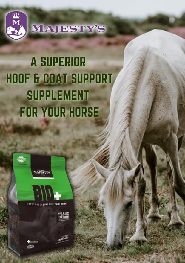 Majesty's BIO+ Biotin Wafers - Superior Horse / Equine Hoof and Coat Support Supplement - Copper, Zinc, Lysine, Methionine (60 count)