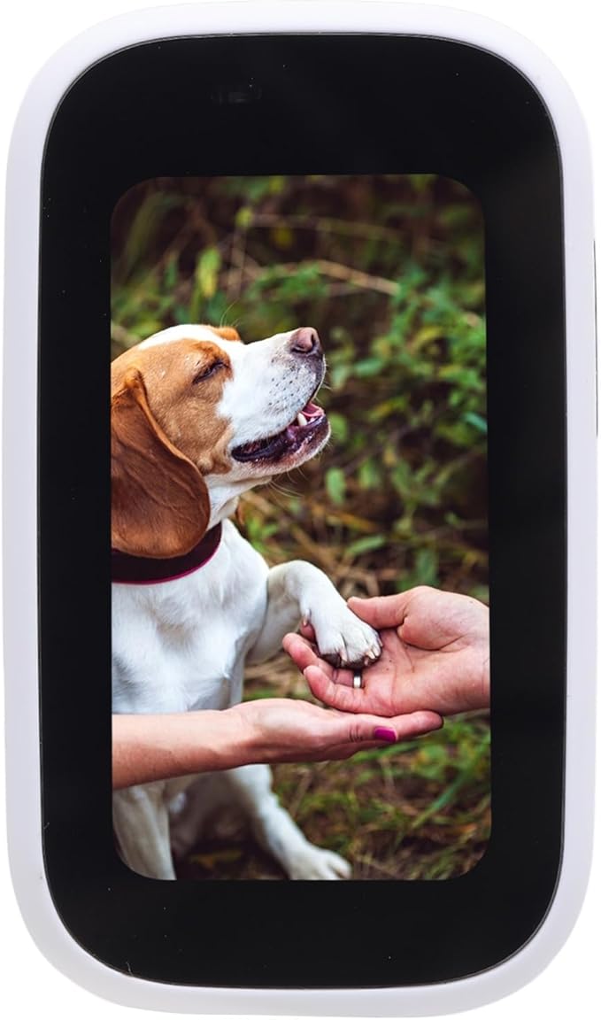 Pet Body Worn Camera, Pet Wearable Body Cam with HD Resolution and Water Design, Lightweight Action Camera for Dog Cat Outdoor Travel Adventures (White)
