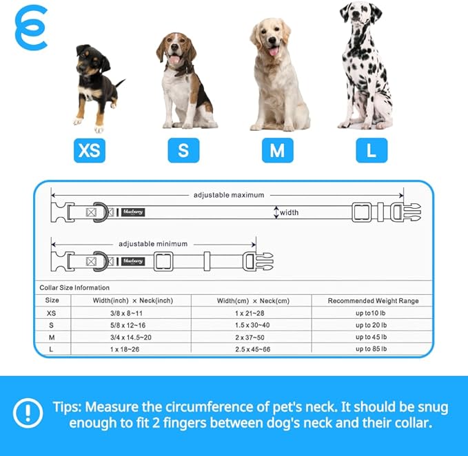 Blueberry Pet Essentials Matching Large Dog Collar | Adjustable Classic Solid Color Nylon Dog Collars for Large Dogs | Reflective Sky Blue Dog Collar for Large Dogs