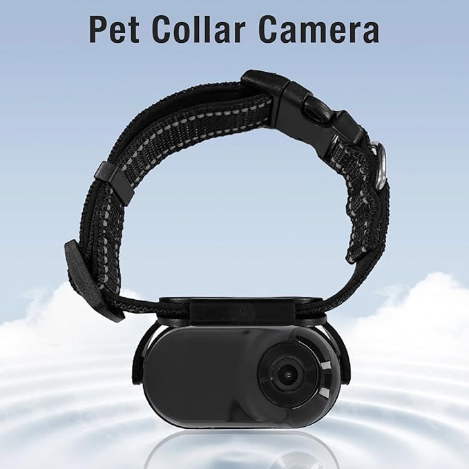 Cat Video Camera Pet Collar Camera 120 Deg Lens OTG Connection Video Recording Adjustable Magnetic Cat Sport Camera for Outdoor (Black)