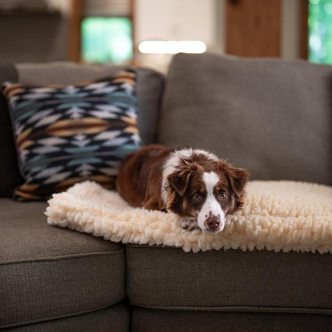 Carolina Pet Co. Dog Comfort Cushion, Sherpa Pet Bed, X-Large 48x30x2 Inches, Polyester, Portable, Machine Washable (Medium)
