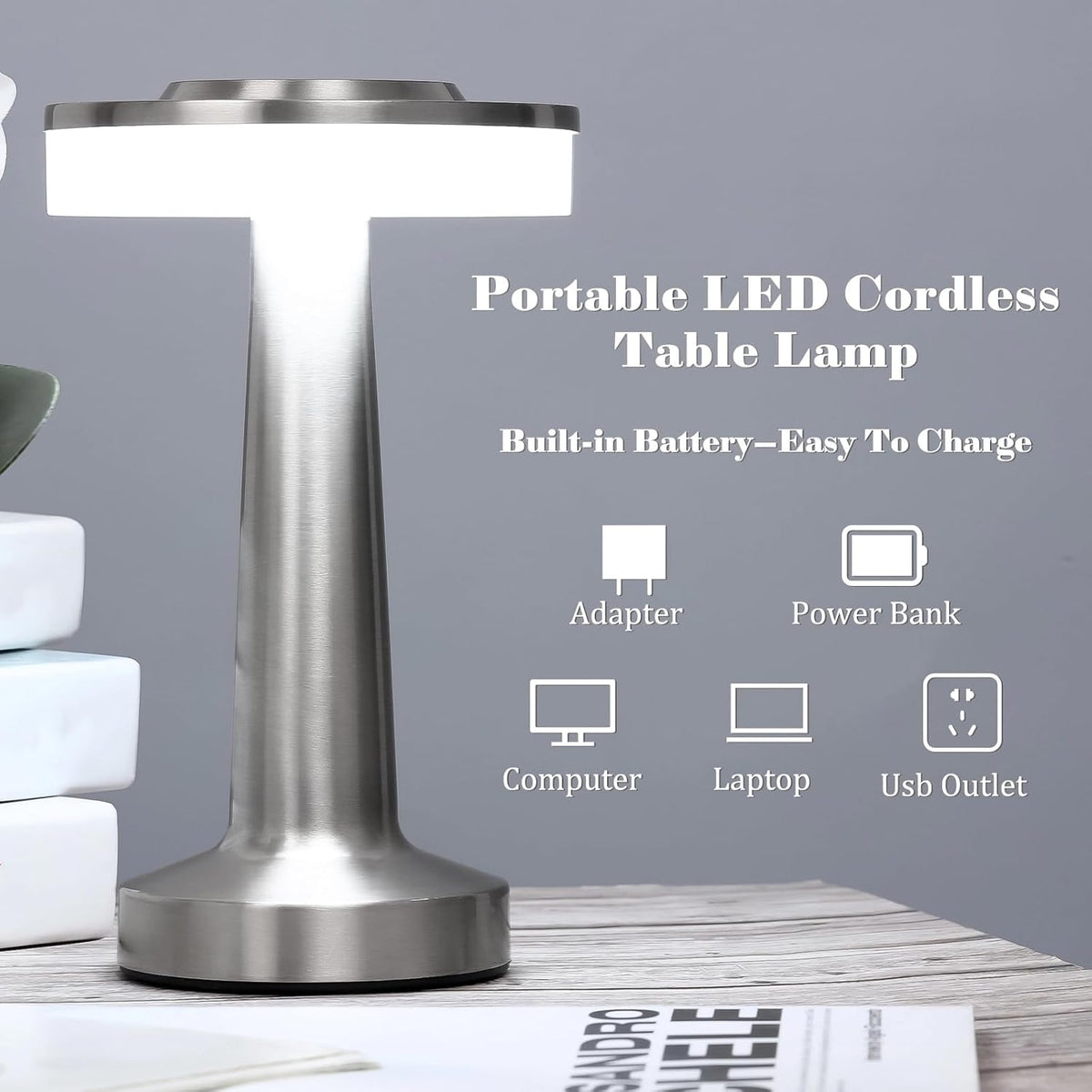 Riakrum 2 Pcs LED Cordless Table Lamp Bulk Rechargeable,Silver