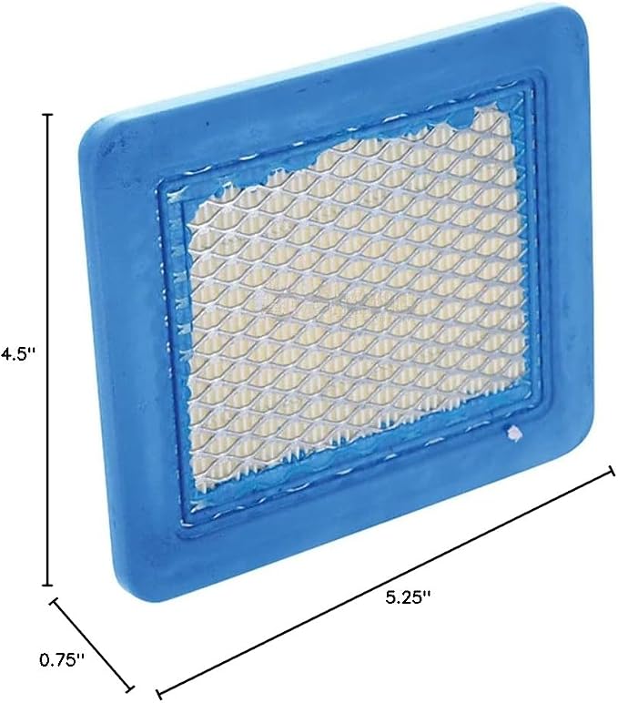 RAParts Air Filter Fits Briggs and Stratton 399959 491588S 494245 5043B 4101