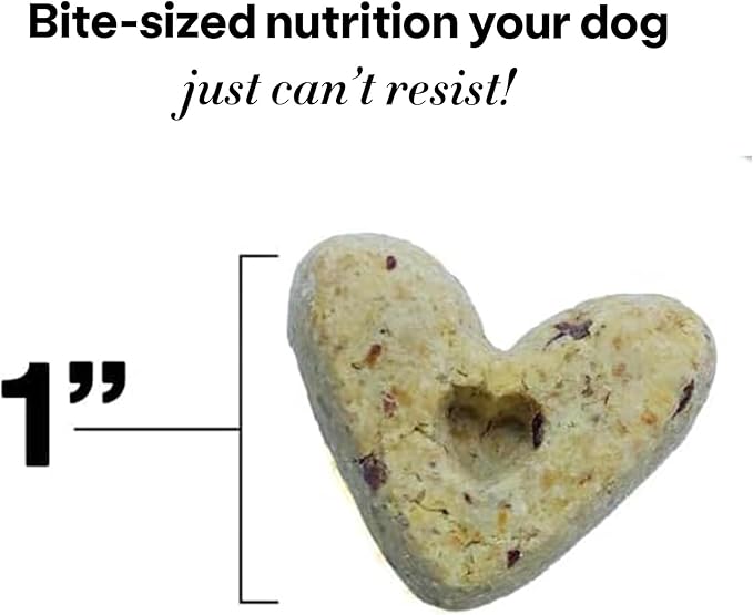 Wild Earth Superfood Dog Treats, Plant Based Dog Treats with Omega Acids, Prebiotics & Koji Protein, No Fillers, Veterinarian-Developed, Peanut Butter Flavor