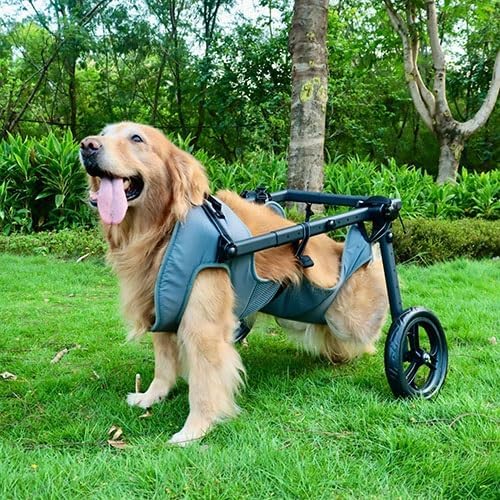 Pet Trolley Adjustable Hind Leg Disabled Dog Mobility Aid Light Rehabilitation Legs Wheelchair Walk Tools(Large)
