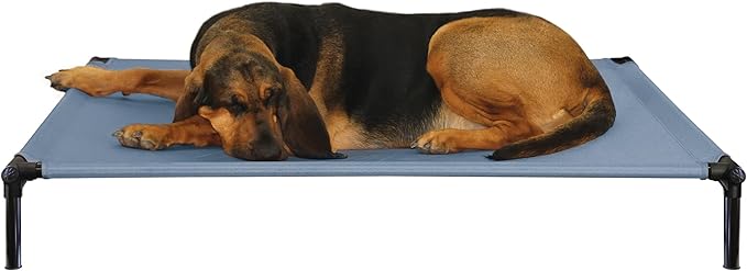Starmark Dog Zone X-Large Sky Blue