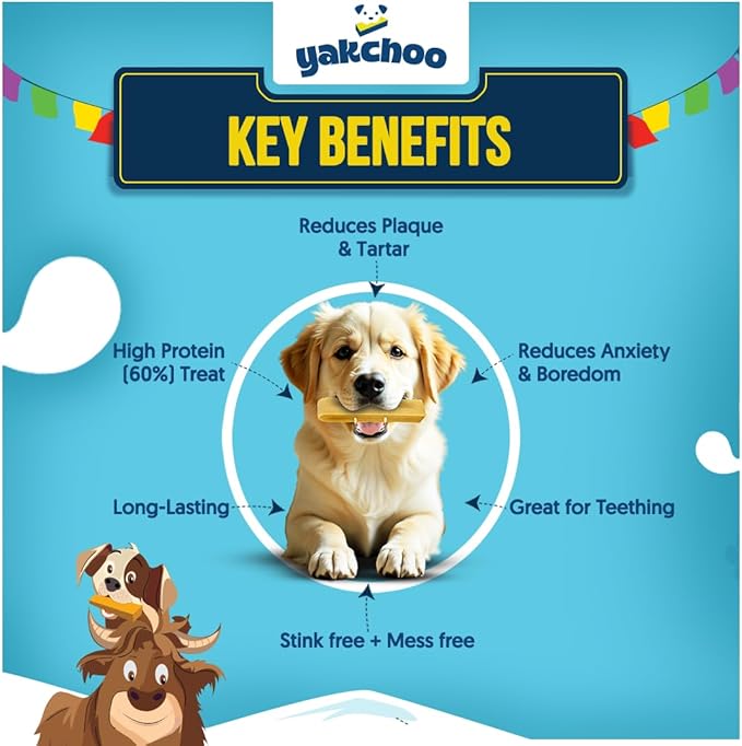 Himalayan Yak Chews for Dogs – Blueberry, Coconut & Mango | Medium Bars 70g (Pack of 3) | 100% Natural, Long-Lasting, Protein & Calcium Rich Treats for All Breeds