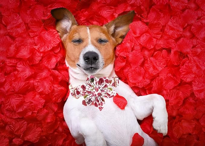 Lionheart Glory Heart Dog Collar, Valentine's Day Dogs Collar with Flower, Cute Floral Pattern Pet Collars Adjustable Dog Collars for Large Dogs