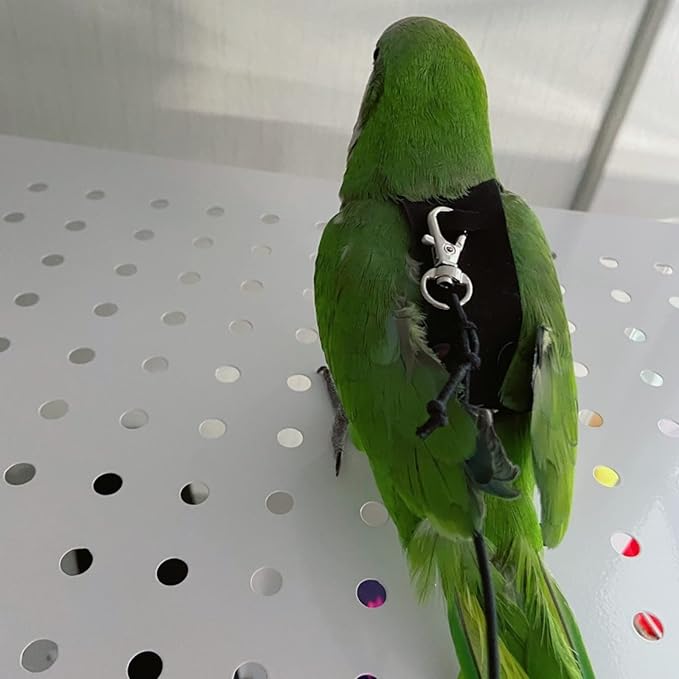 Bird Flight Harness Vest, Parrot Flight Suit with Leash for Parakeets Cockatiels Conures Budgies, Bird Flying Clothes with Rope and Handle for Outdoor Activities Training, Anti Bite (Large)