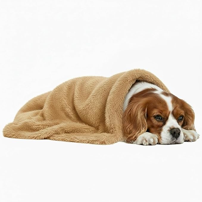 Pets Bed Blanket Dogs Reversible Soft Dog Throw Blankets Cats Mat Sleeper Fuzzy Pet Couch Covers Washable Cat Puppy Cover for Beds Car Sofa Travel Double Sided Furniture Protection (Champagne,M)