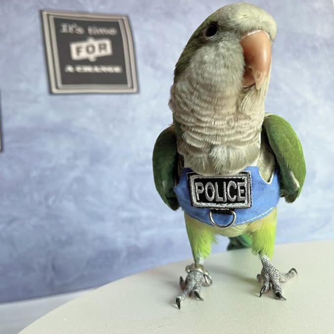 Bird Flight Harness Vest, Parrot Flight Suit with Leash, Bird Flying Clothes with Rope and Handle for Outdoor Activities (Without Leash,Necked Parakeet)