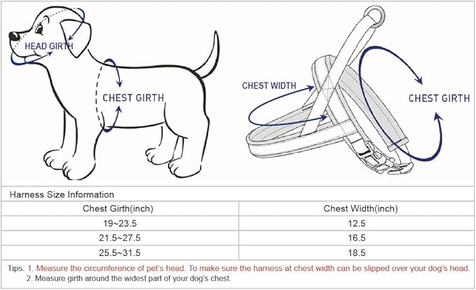Blueberry Pet 6 Colors Soft & Comfy Jacquard Padded Dog Harness, Chest Girth 21.5" - 27.5", Teal Blue, S/M, Reflective Adjustable Harnesses for Dogs