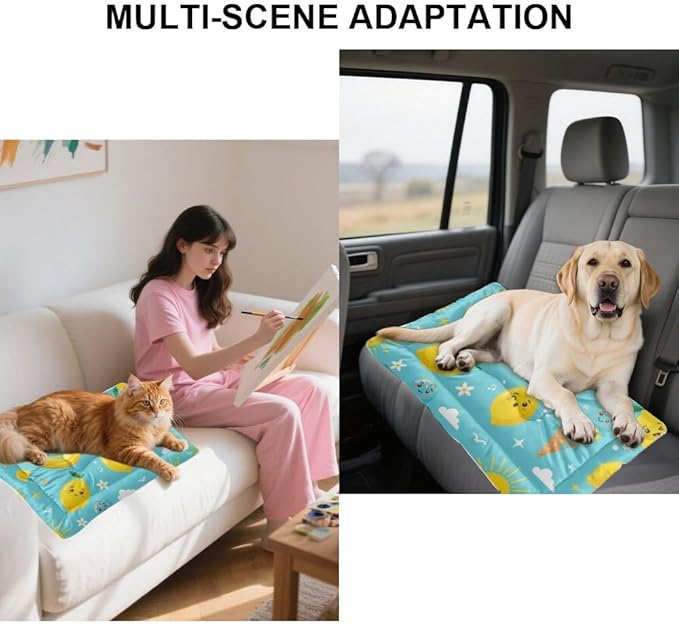 Banana Lemon Treat Turquoise Dog Bed Furniture Dog Bed Mats Pet Pad Crate Cushion Washable Non-Slip Cage for Crate Beds for Medium Size Dogs Mat Washable Medium Size Beds Indoor Outdoor 24X18 Inch