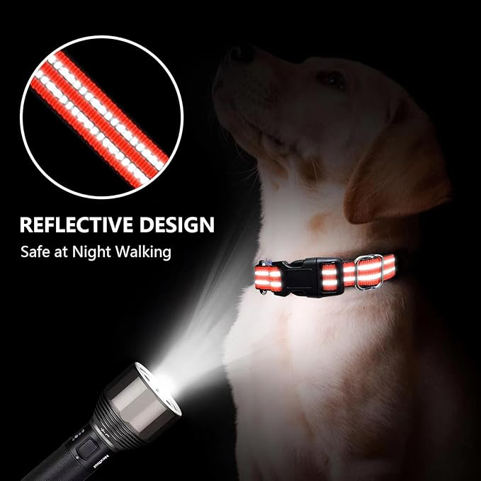 Martingale Dog Collar, Adjustable Nylon Reflective Collar with Quick Release Buckle (Bright Orange, Large)