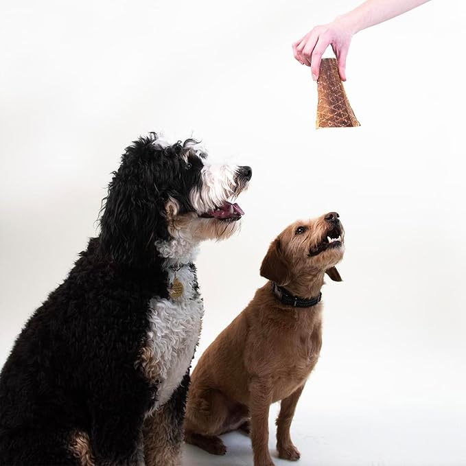 Pupford Crunchy Jerky Treats for Dogs & Puppies, Made in USA, Single Ingredient, No Fillers (Beef, 8 oz)