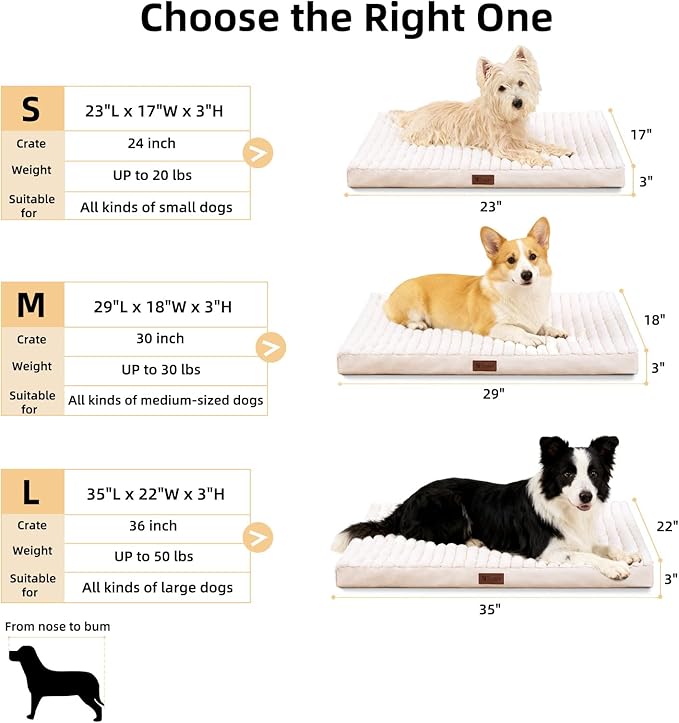 Orthopedic Dog Bed with Firm High-Density Egg Crate Foam,Soft Short Plush Surface Pet Beds,Machine Washable with Removable Cover & Non-Slip Bottom for Medium/Large Breeds (Beige, 35"L x 22"W x 3"H)