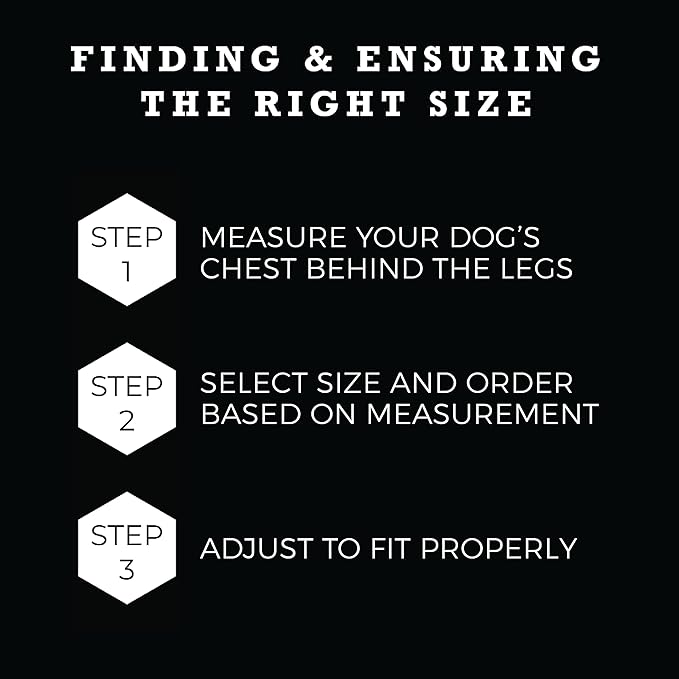 Wolfgang Heavy Duty Adjustable Dog Harness, Pull-Tested to Over 800 lbs for Walking & Training, NightOwl Print, Medium