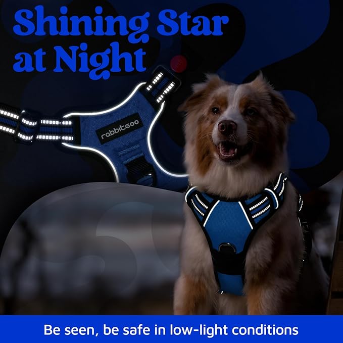 rabbitgoo Dog Harness Small Sized, No Pull Dog Vest with 3 Buckles, Adjustable Soft Padded Pet Harness with Easy Control Handle and Reflective Strips, Royal Blue, S