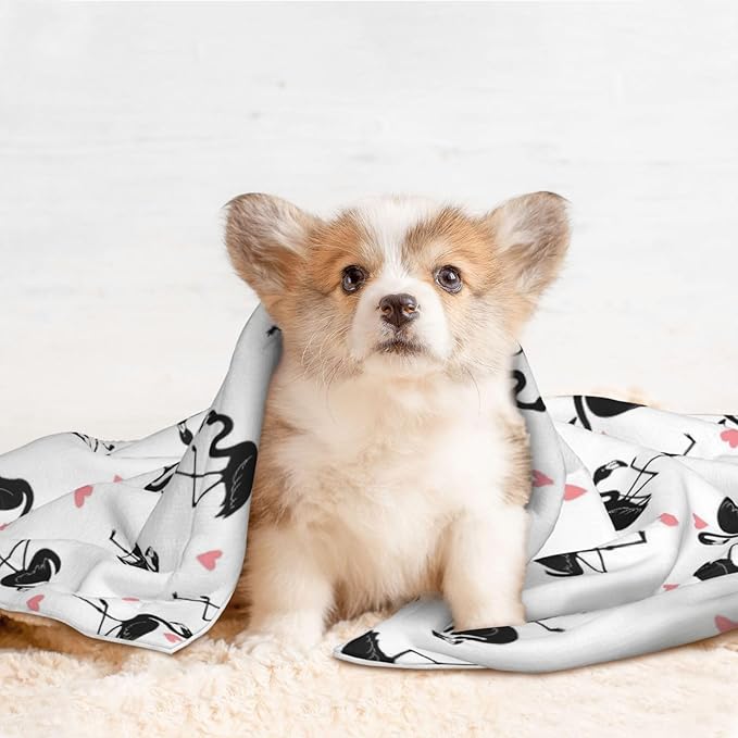 Reversible Dog Blanket for Beds Couches, Flamingo, Double Sided Cat Blanket with Textured Dot Feel and Smooth Feel for Seasonal Comfort All Year