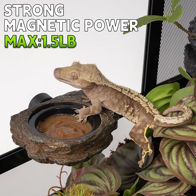OIIBO Magnetic Gecko Feeding Ledge, Reptile Food Dish with 3PCS Feeding Cups Crested Gecko Feeder Ledge Water Bowl for Lizard Chameleon Bearded Dragon Tank Accessories