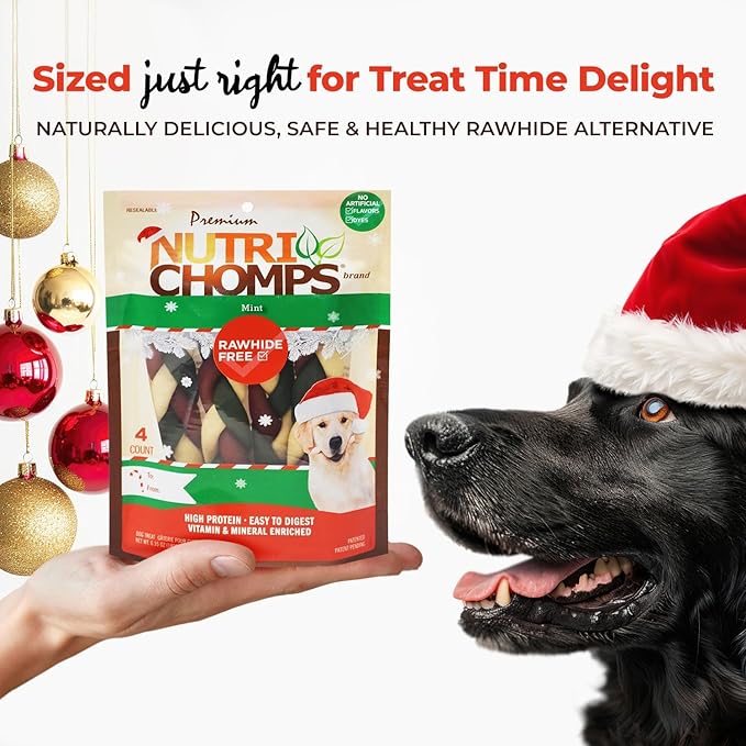 NutriChomps Dog Chews, 6 inch Braids, Mint Flavor, 4 count, Easy to Digest, Rawhide Free, Holiday Stocking Stuffer Treats, Christmas Gift for Dogs
