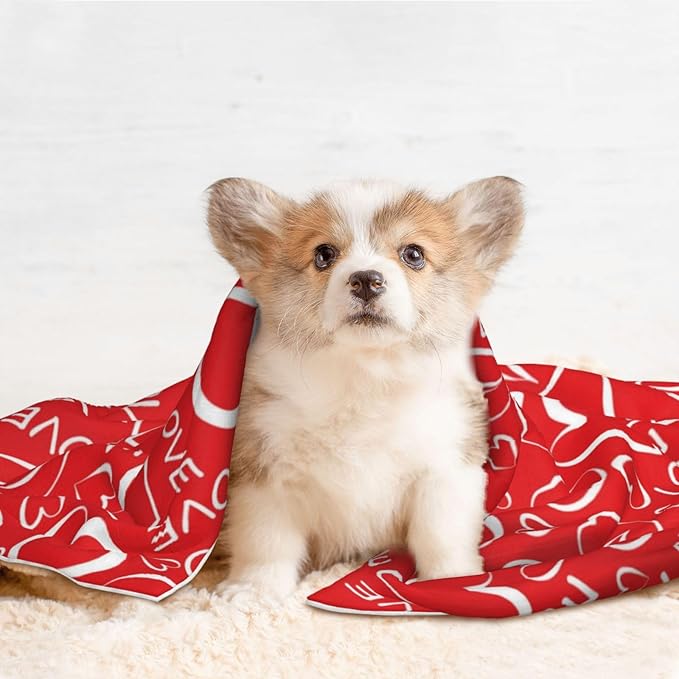 Reversible Dog Blanket for Beds Couches, Abstract Seamless Love Pattern Valentines Day, Double Sided Cat Blanket with Textured Dot Feel and Smooth Feel for Seasonal Comfort All Year