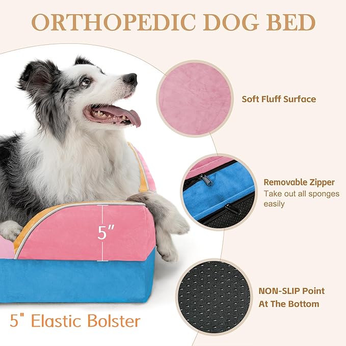 Comfort Expression Orthopedic Dog Bed for Large Dogs 36x27 Inch, Waterproof Egg Crate Foam Large Pet Bed with Removable Bolsters, Dog Couch with Washable Cover & Non-Slip Bottom, Bubblegum Cove