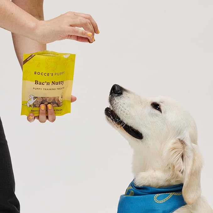 Bocce's Bakery Say Moo Cookie + Bac’n Nutty Training Dog Treat Bundle – Natural, Wheat-Free Soft & Chewy Cookies Made with Real Ingredients and Baked in The USA – 2 Pack Bundle