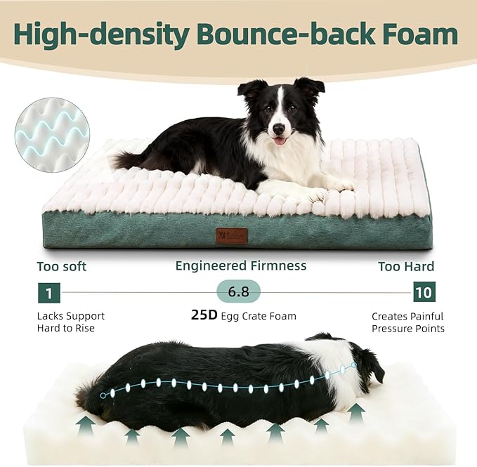 Orthopedic Dog Bed with Firm High-Density Egg Crate Foam, Machine Washable Cover & Non-Slip Bottom for Medium Breeds (Green, 29" L x 18" W x 3" H)