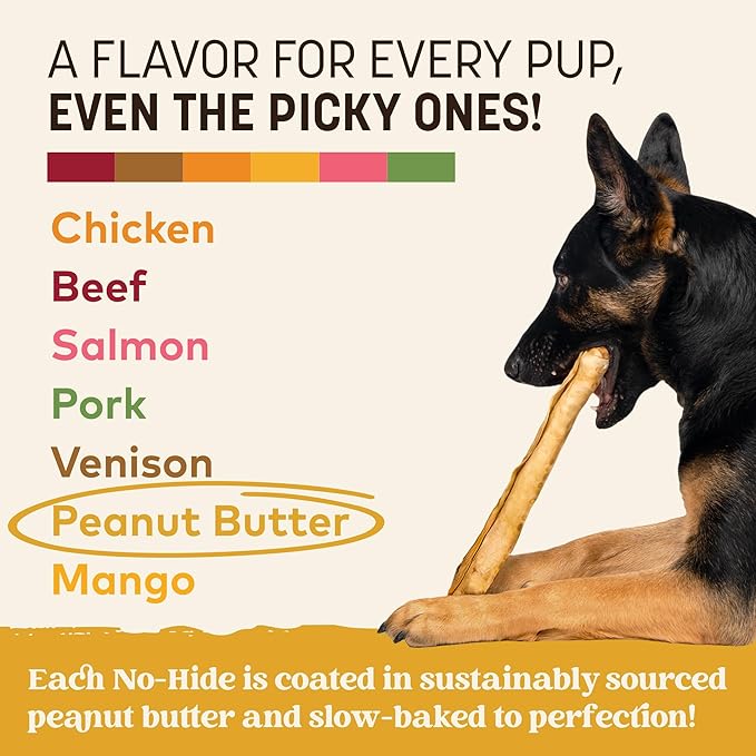 Earth Animal No Hide Chews - Long Lasting Rawhide Free Large Dog Chews Rolls, Peanut Butter - 2 Count