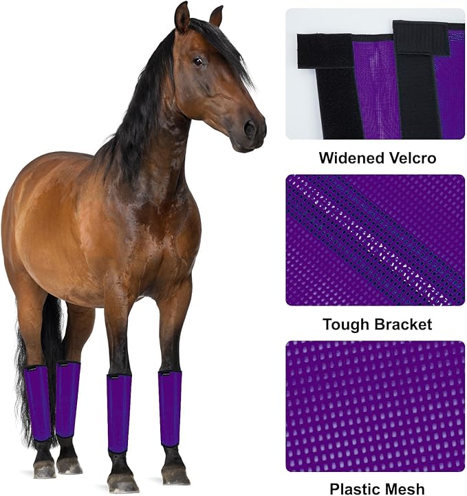 FOXLVDA Horse Fly Boots - Fly Boots for Horses Set of 4, Comfortable Horse Leggings, Mesh Material Design with Metal Support Bars for Reduces Stomping & Leg Fatigue (Purple, Medium)