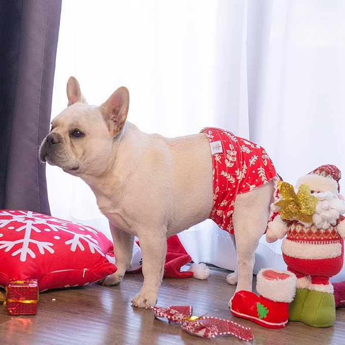 CuteBone Dog Diapers Female Washable Small Medium Large 3 Pack Reusable Doggie Diapers Puppy Period Pants for Doggy Heat Cycle Peeing