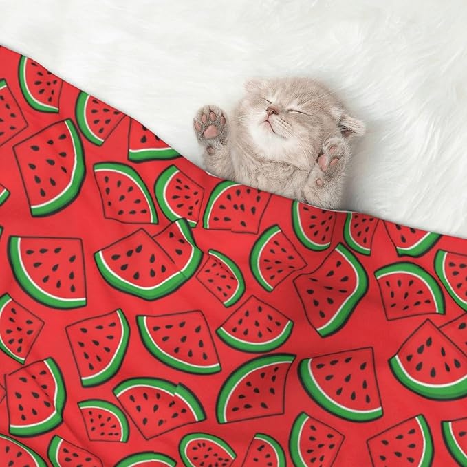 Two Sided Pet Cuddler Blanket for Anxiety Calming, Summer Fruit Red Green Watermelon, Reversible Plush Design with Bubble Dot Pattern Provides Familiar Surface Anywhere