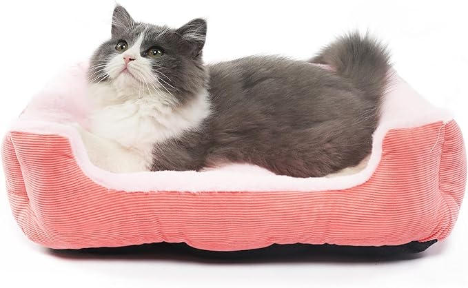 Extra Small Dog Bed for 3-5 Pound Dog Washable Cute Pink Cat Bed for Indoor Cats 18x14x5 Orthopedic Supportive Pet Sofa Bed with Sides