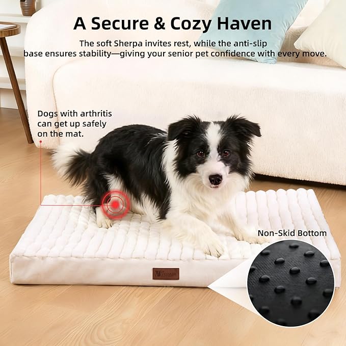 Orthopedic Dog Bed with Firm High-Density Egg Crate Foam,Soft Short Plush Surface Pet Beds,Machine Washable with Removable Cover & Non-Slip Bottom for Medium/Large Breeds (Beige, 35"L x 22"W x 3"H)