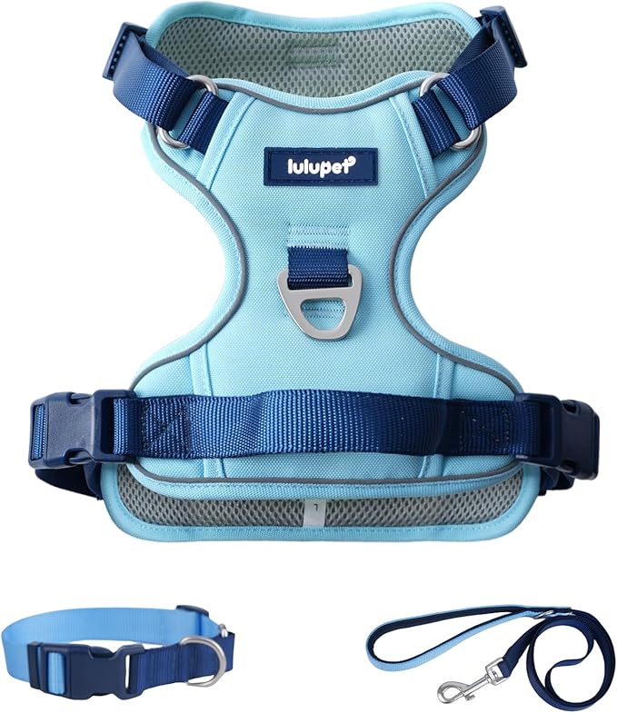 3 in 1 No Pull Dog Harness Leash and Collar Set, Soft Adjustable Dogs Vest Reflective and Comfortable Handle Blue Medium