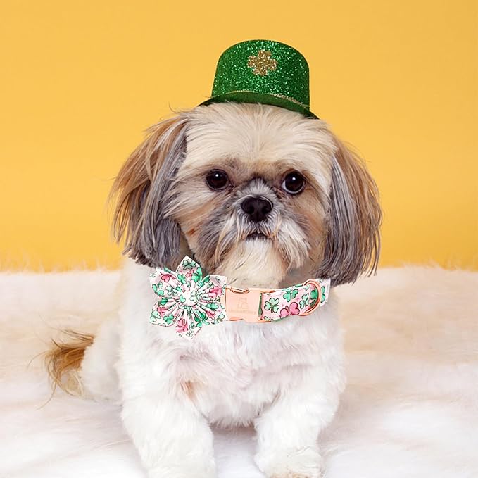 Lionheart glory St. Patrick's Day Dog Collar with Flower Dog Collars for Small Dogs, Heavy Duty Green Collars Lucky Clover Shamrock Dogs Collar Flower Puppy