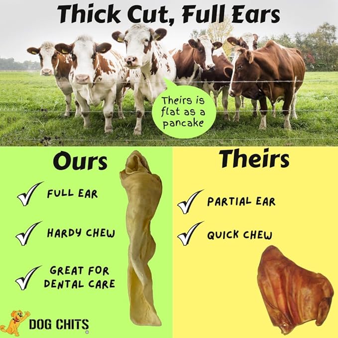 Dog Chits Cow Ears for Dogs – All Natural Cow Ear Dog Treats & Training Chews – High Protein, Low Fat – Thick Cut, Full-Sized – Dental Clean Crunch – Ideal for Medium & Large Dogs – Large, 10 Pk
