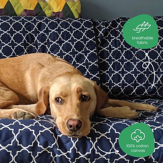 Molly Mutt 3-Seater Non-Slip Furniture Protector and Couch Cover for Dogs & Pets – Durable 100% Cotton Canvas and Non-Toxic Materials - 70” Wide x 78” Long