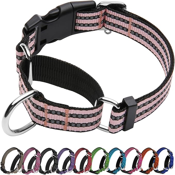 Martingale Dog Collar, Adjustable Nylon Reflective Collar with Quick Release Buckle (Light Pink, Small)