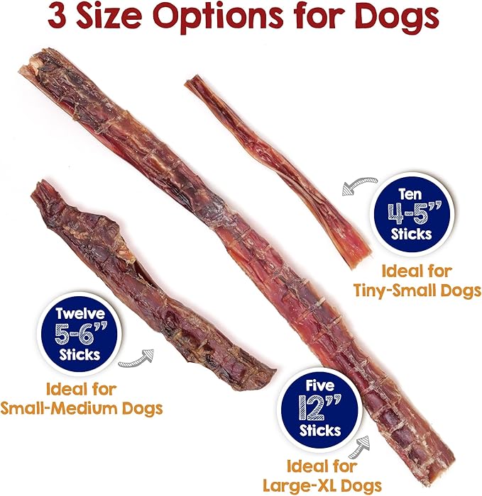 Riley's Steer Bully Sticks for Large to XL Dog Breeds - Odor Free, Single Ingredient Treat - Easily Digestible, 100% Beef Pizzle Sticks for Dogs - 12", 5ct (Pack of 2)