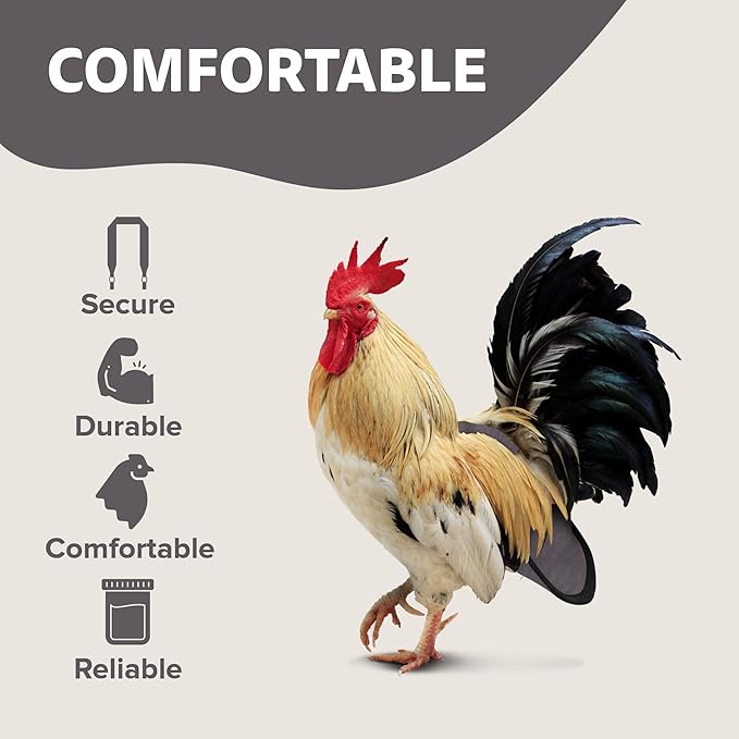 Hen Holster Bird Diaper, Wrap Around - for Hens, Roosters, Ducks, Leak-Proof Design, Comfortable Fleece Strap Bird Harness with Sewn-in Liner, Secure Hook and Loop Closure - XL, Gray
