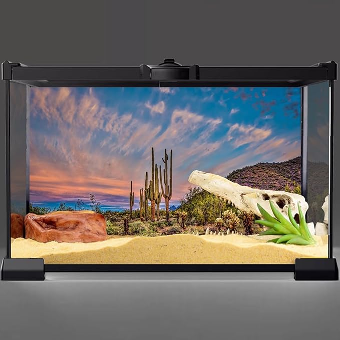 AWERT 36x24 inches Terrarium Background Blue Sky Cloud Huge Cactus Oasis Gobi Reptile Habitat Background Vinyl