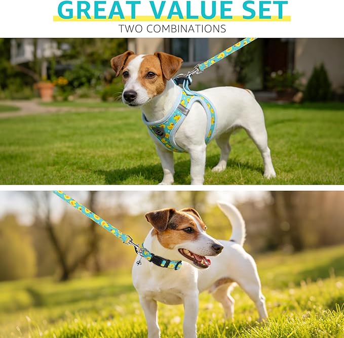 SCENEREAL Small Dog Harness and Leash Collar Set, Step in Soft Light Puppy Vest, Breathable Pet Harness for Small Sized Dogs, No Chock Reflective for Safe Outdoor Walking, Yellow Duck M