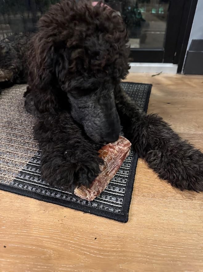 Bully Bunches 6 Inch Beef Trachea Wrapped in Jerky Dog Chews - Long Lasting Natural Dog Treats for Small & Medium Dogs, High Protein Crunchy Chew with Natural Collagen & Joint Support - 8 Pack