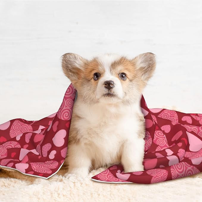 Red Blanket for Pet - Heart Love Throw Blanket 40x30 Pink Couch Blankets for Puppy Dogs Cats