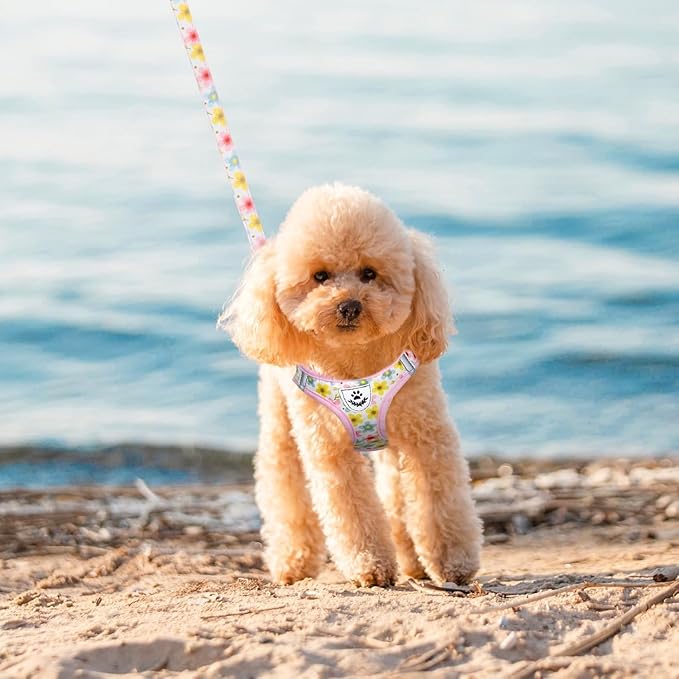 EXPAWLORER Dog Harness and Leash Set - Cute Puppy Harness Leash Dog Collar with AirTag Holder Silicone Case, Soft Padded Step in Pet Vest Reflective for Outdoor Walking, Floral L