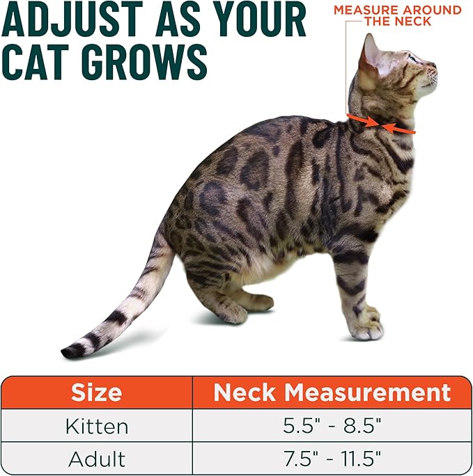 OutdoorBengal Durable Cat Collar Breakaway with Soft Padding Medium to Large Cats - Thin Heavy Duty Tactical Fabric, Comfortable, Quick Release Cat Collars, No Bell Collar (Black Reflective, Kitten)