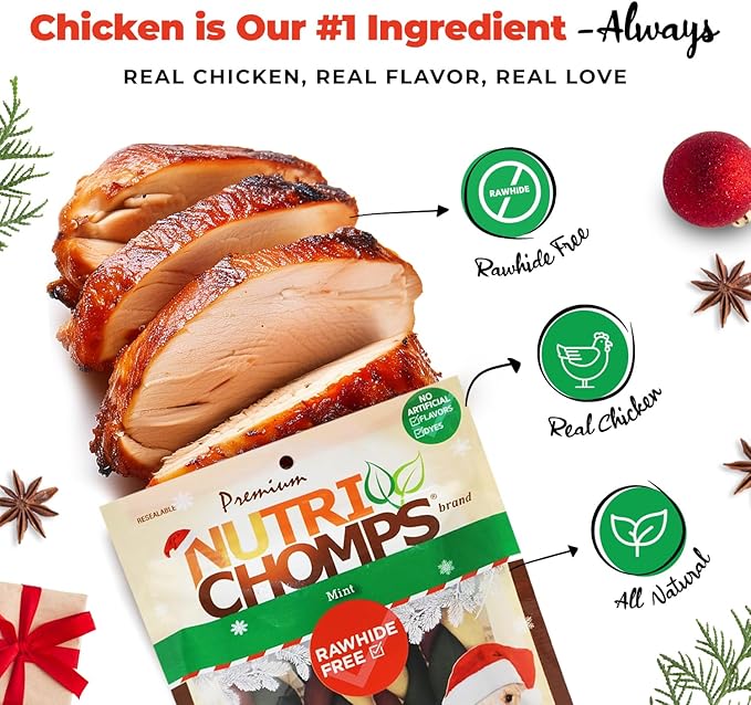 NutriChomps Dog Chews, 6 inch Braids, Mint Flavor, 4 count, Easy to Digest, Rawhide Free, Holiday Stocking Stuffer Treats, Christmas Gift for Dogs