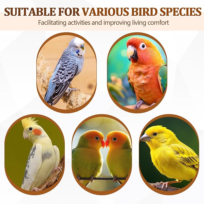 Sintuff 8 Pcs Bird Perches for Cage Accessories, Wooden Perch Rods Replacement with Double Head Slots, 0.6 Inch Diameter Natural Wood Stand for Parrot Macaw Cockatoo Parakeet(24 Inches)